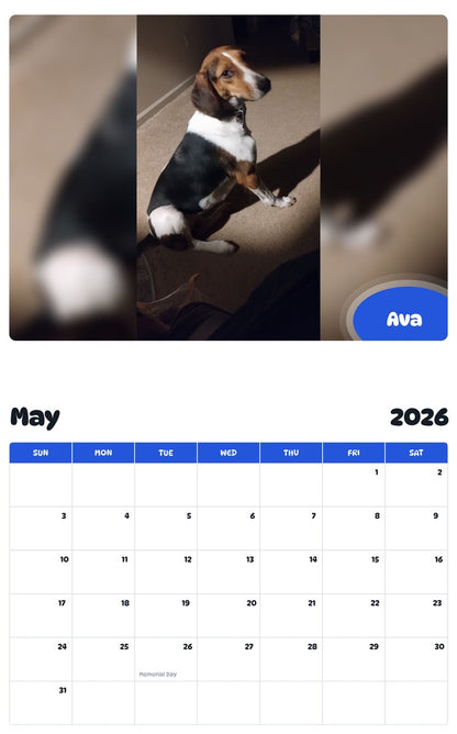 2026 - 2027 Ava - Pawidols Pet Calendar