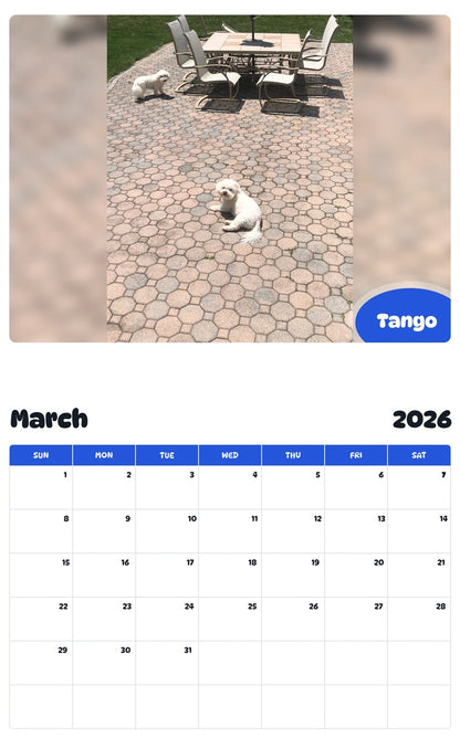 November 2025 - October 2026 Tango - Pawidols Pet Calendar