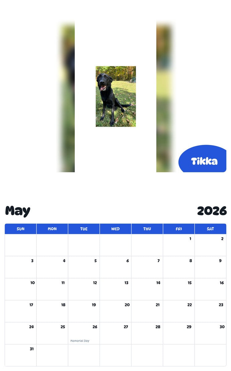 2026 - 2027 Tikka - Pawidols Pet Calendar