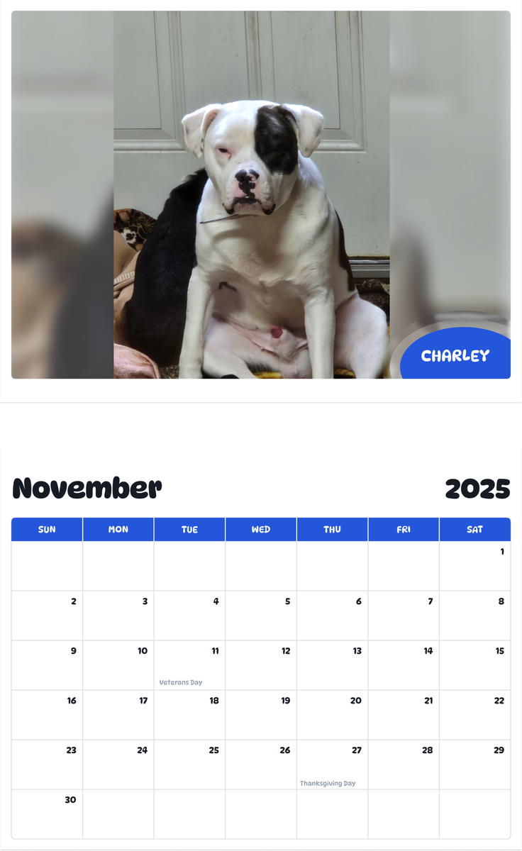 July 2025 - June 2026 Charley - Pawidols Pet Calendar