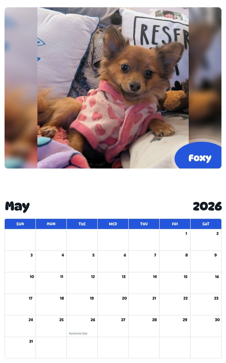 2026 - 2027 Foxy - Pawidols Pet Calendar