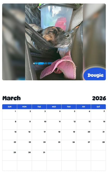 November 2025 - October 2026 Dougie - Pawidols Pet Calendar
