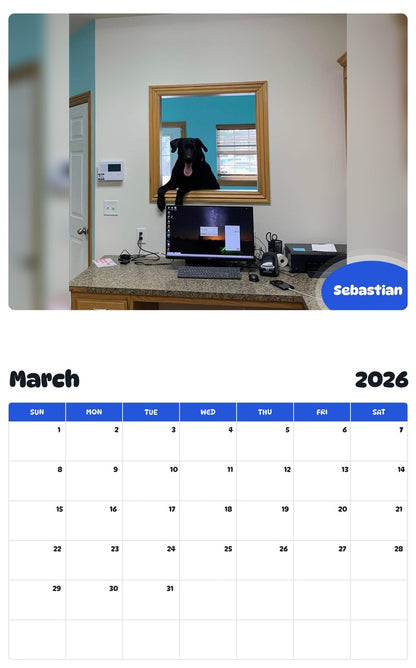 November 2025 - October 2026 Sebastian - Pawidols Pet Calendar