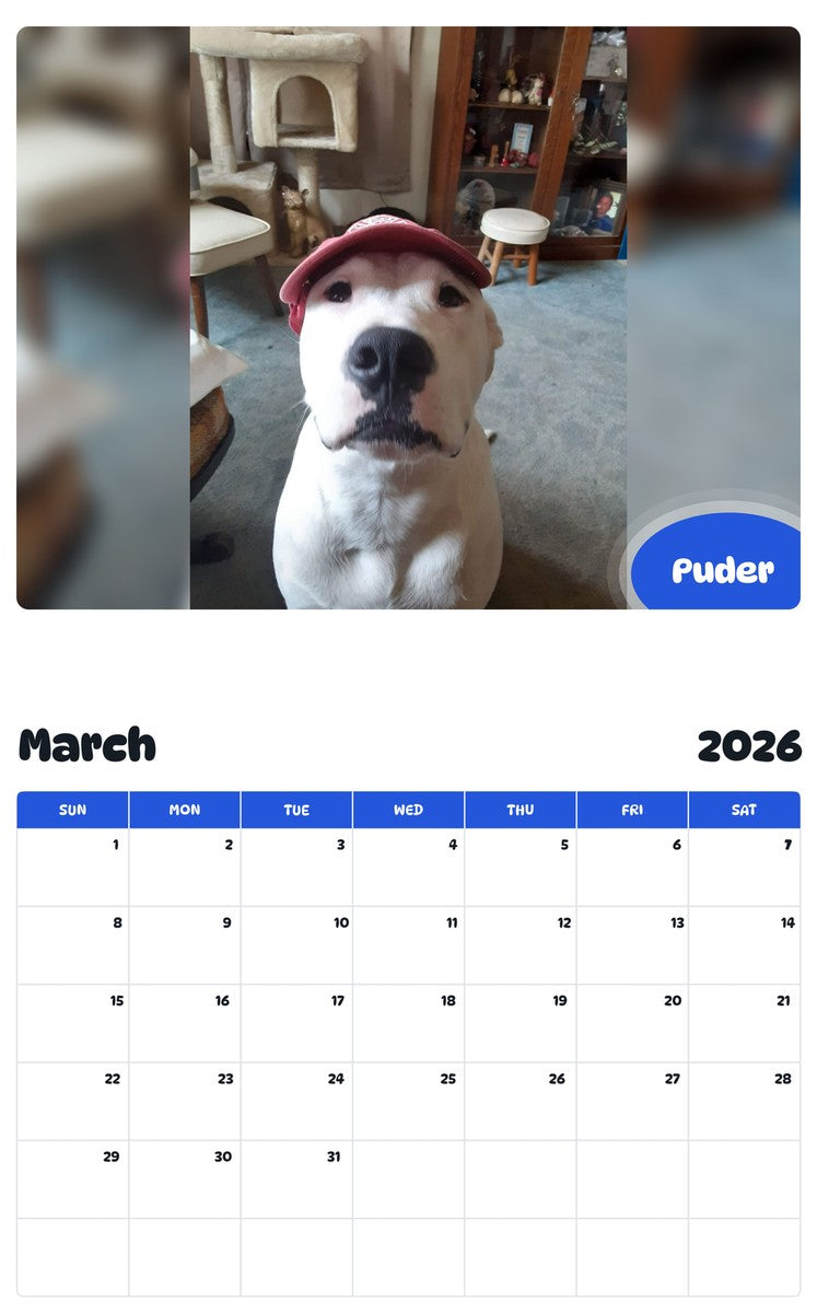 November 2025 - October 2026 Puder - Pawidols Pet Calendar