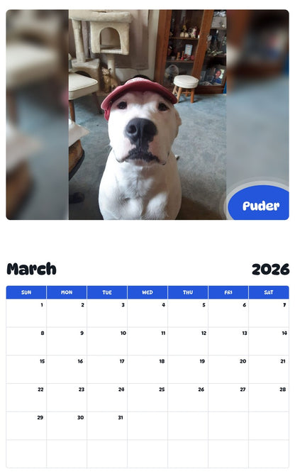 November 2025 - October 2026 Puder - Pawidols Pet Calendar