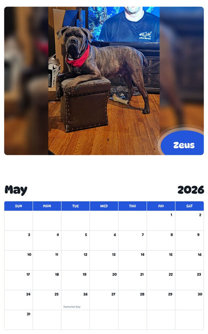 2026 - 2027 Zeus - Pawidols Pet Calendar