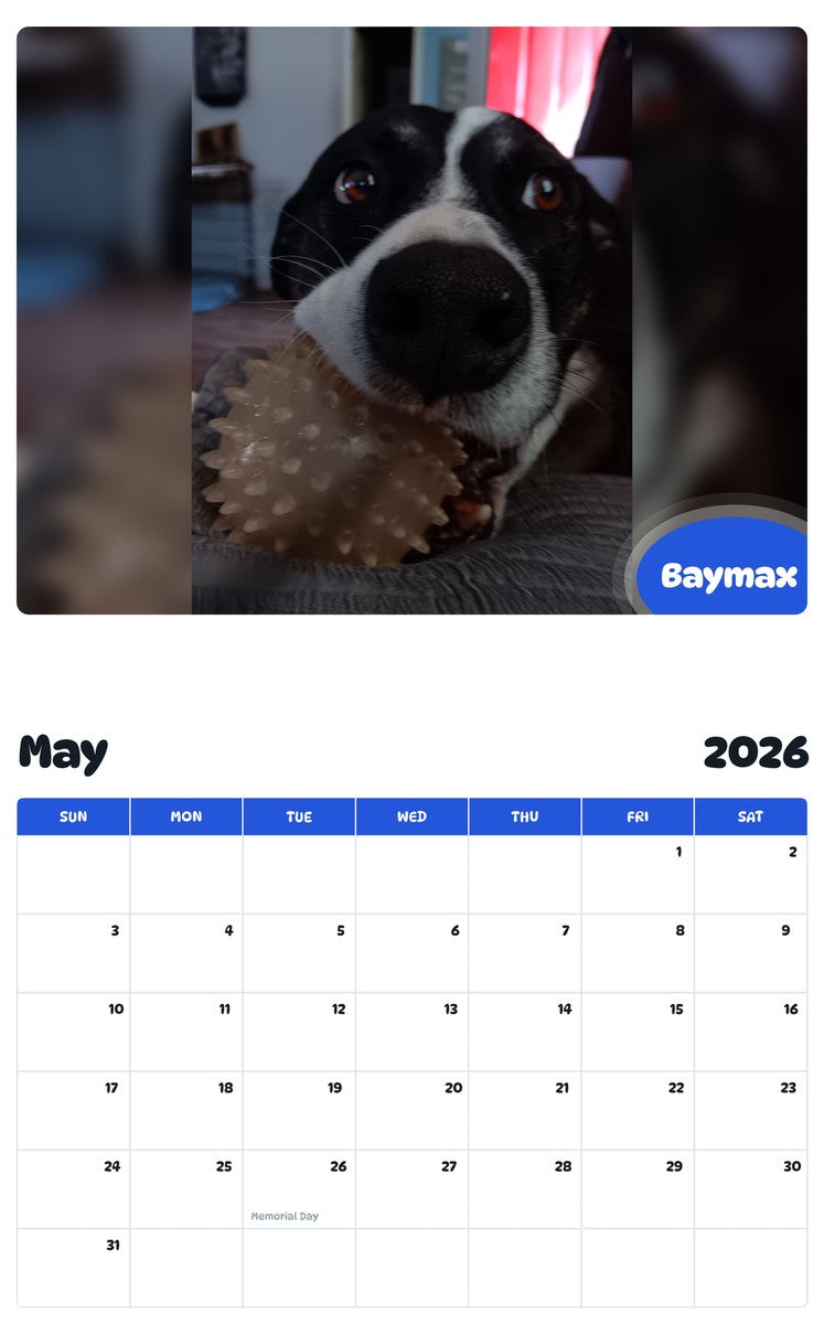 2026 - 2027 Baymax - Pawidols Pet Calendar