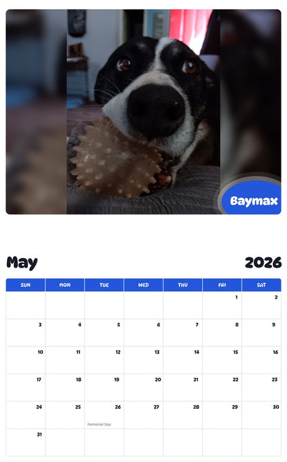 2026 - 2027 Baymax - Pawidols Pet Calendar
