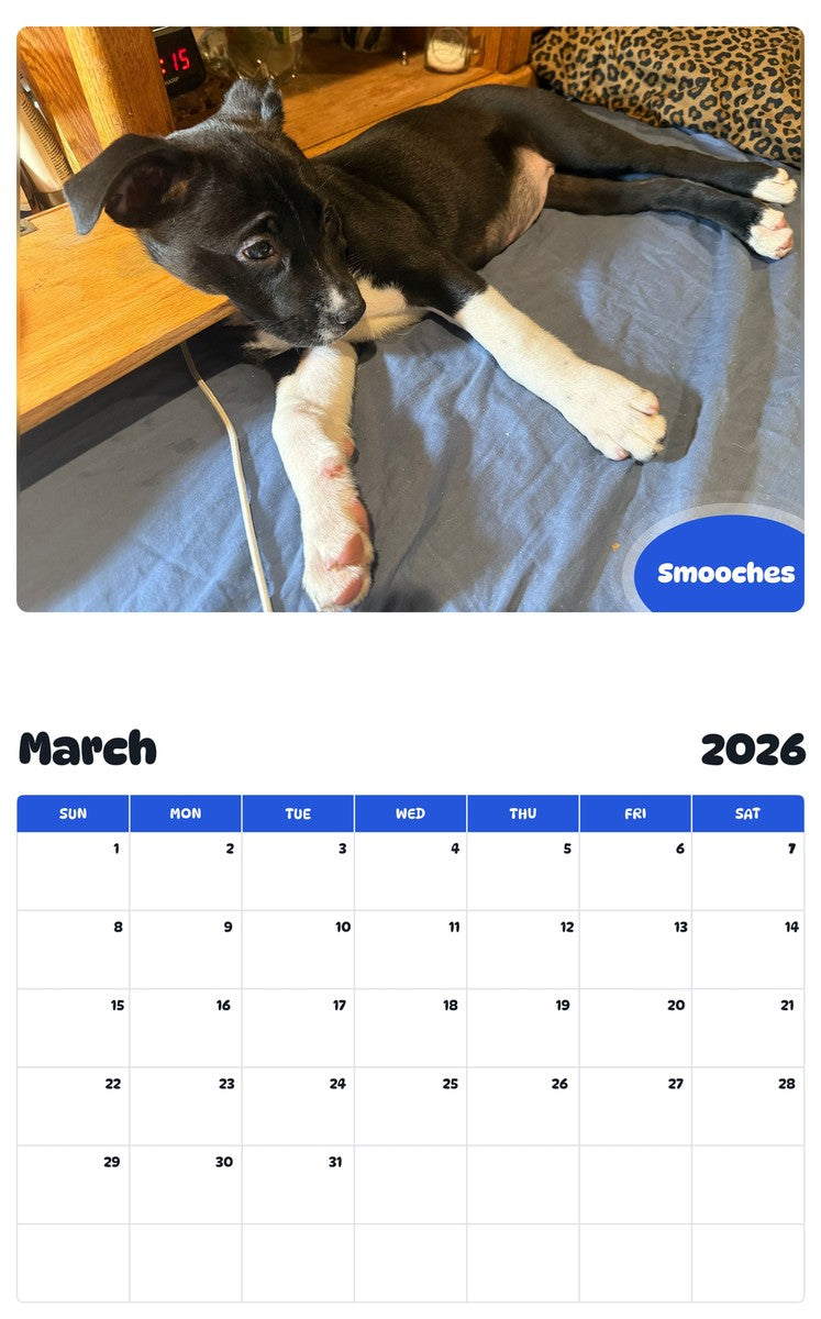 November 2025 - October 2026 Smooches - Pawidols Pet Calendar