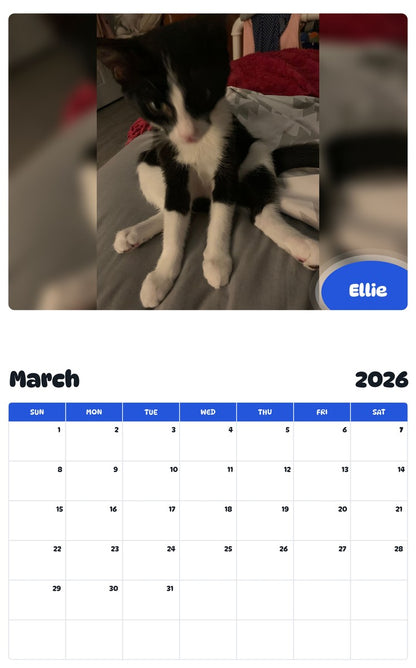 November 2025 - October 2026 Ellie - Pawidols Pet Calendar