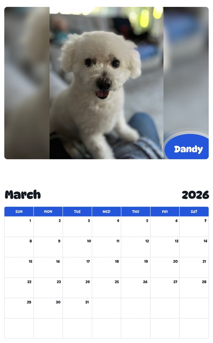 November 2025 - October 2026 Dandy - Pawidols Pet Calendar