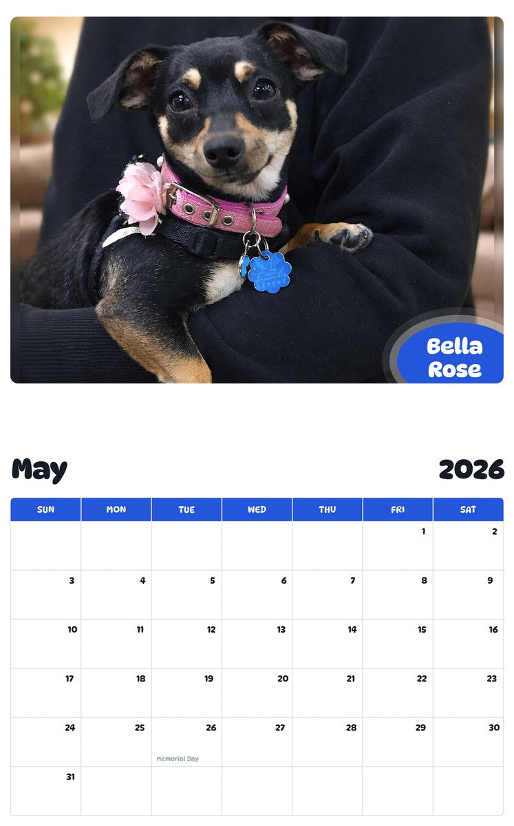2026 - 2027 Bella Rose - Pawidols Pet Calendar