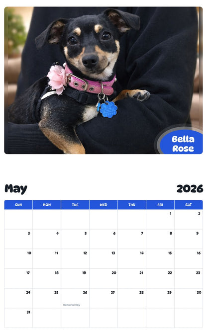 2026 - 2027 Bella Rose - Pawidols Pet Calendar