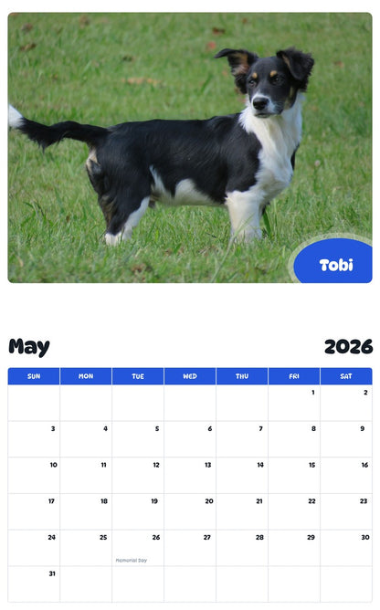 2026 - 2027 Tobi - Pawidols Pet Calendar