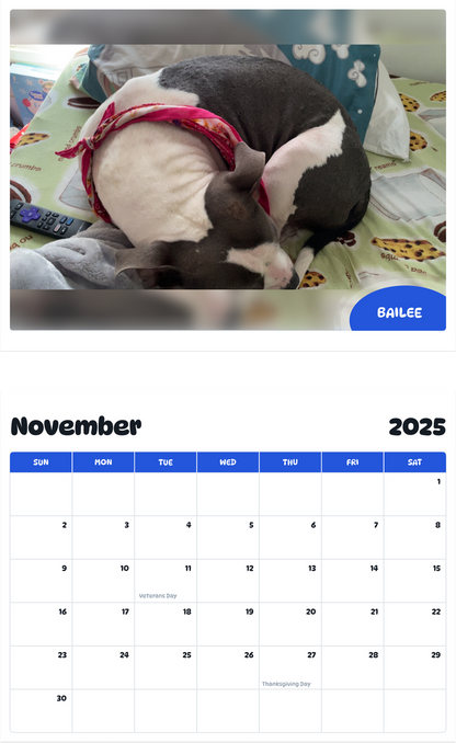 July 2025 - June 2026 Bailee - Pawidols Pet Calendar