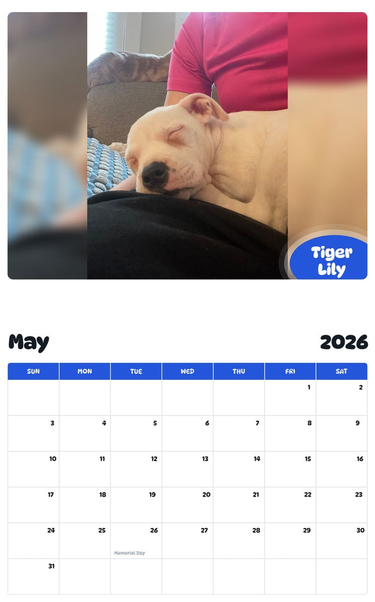 2026 - 2027 Tiger Lily - Pawidols Pet Calendar
