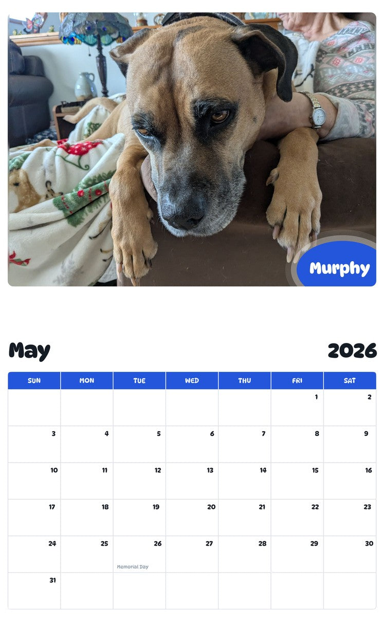 2026 - 2027 Murphy - Pawidols Pet Calendar
