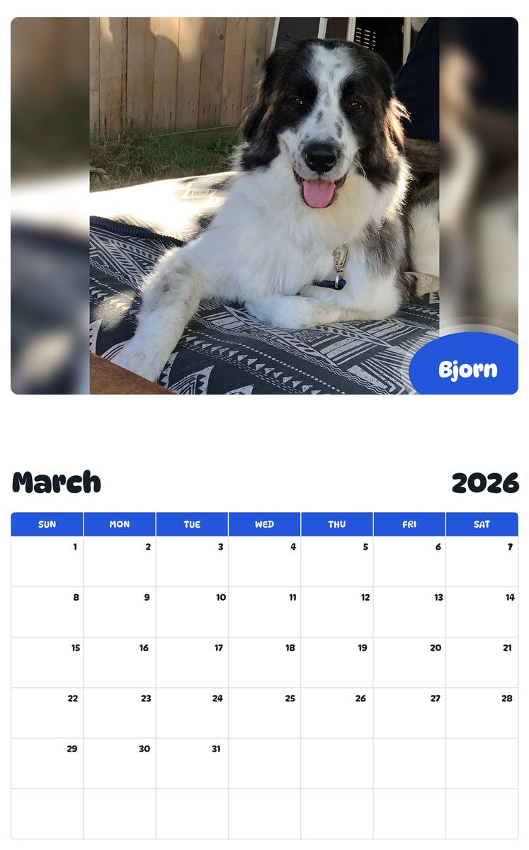 November 2025 - October 2026 Bjorn - Pawidols Pet Calendar