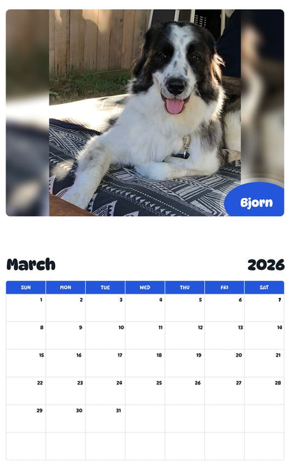 November 2025 - October 2026 Bjorn - Pawidols Pet Calendar