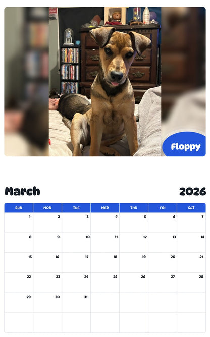 November 2025 - October 2026 Floppy - Pawidols Pet Calendar