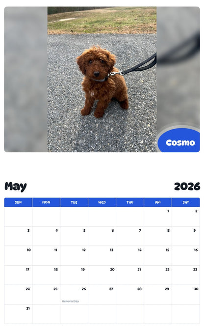 2026 - 2027 Cosmo - Pawidols Pet Calendar
