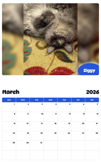November 2025 - October 2026 Ziggy - Pawidols Pet Calendar