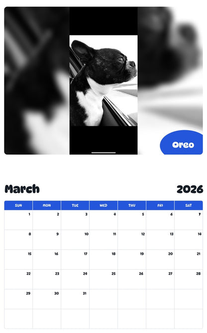 November 2025 - October 2026 Oreo - Pawidols Pet Calendar