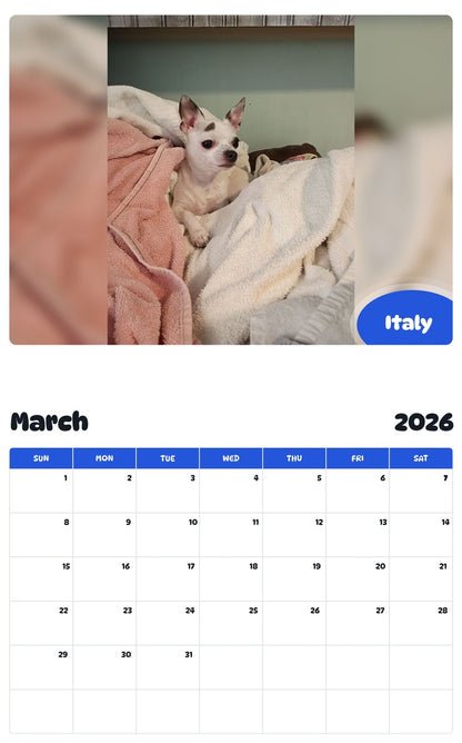 November 2025 - October 2026 Italy - Pawidols Pet Calendar