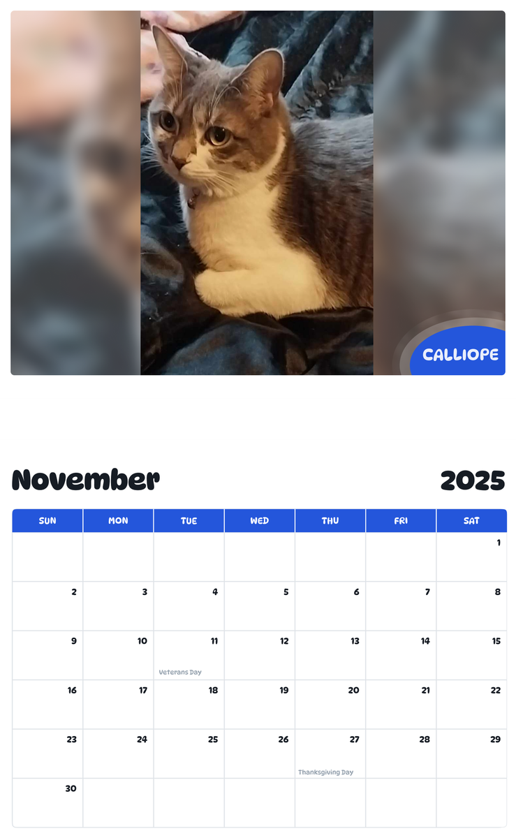 July 2025 - June 2026 Calliope - Pawidols Pet Calendar