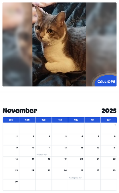 July 2025 - June 2026 Calliope - Pawidols Pet Calendar