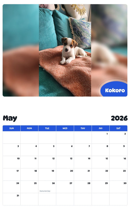 2026 - 2027 Kokoro - Pawidols Pet Calendar
