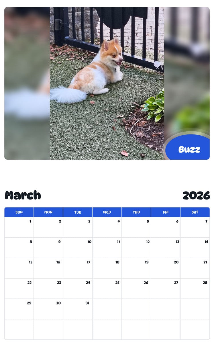 November 2025 - October 2026 Buzz - Pawidols Pet Calendar