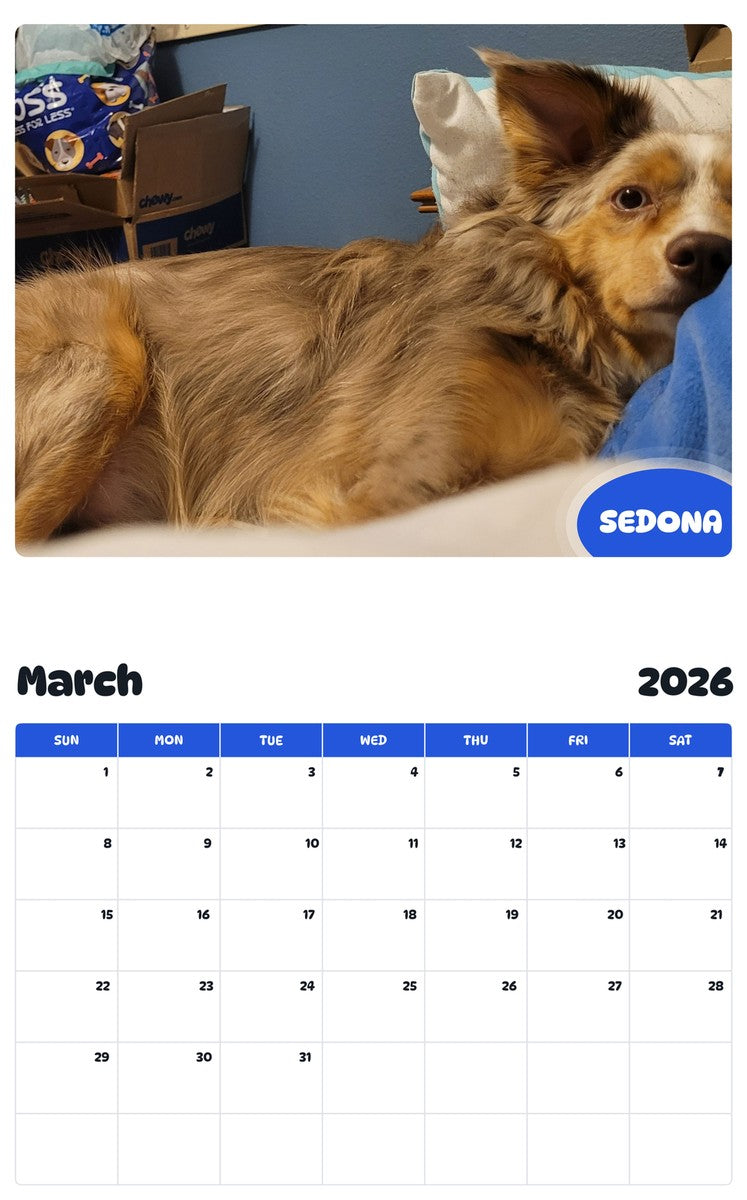 November 2025 - October 2026 SEDONA - Pawidols Pet Calendar