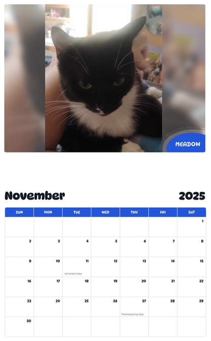July 2025 - June 2026 Meadow - Pawidols Pet Calendar