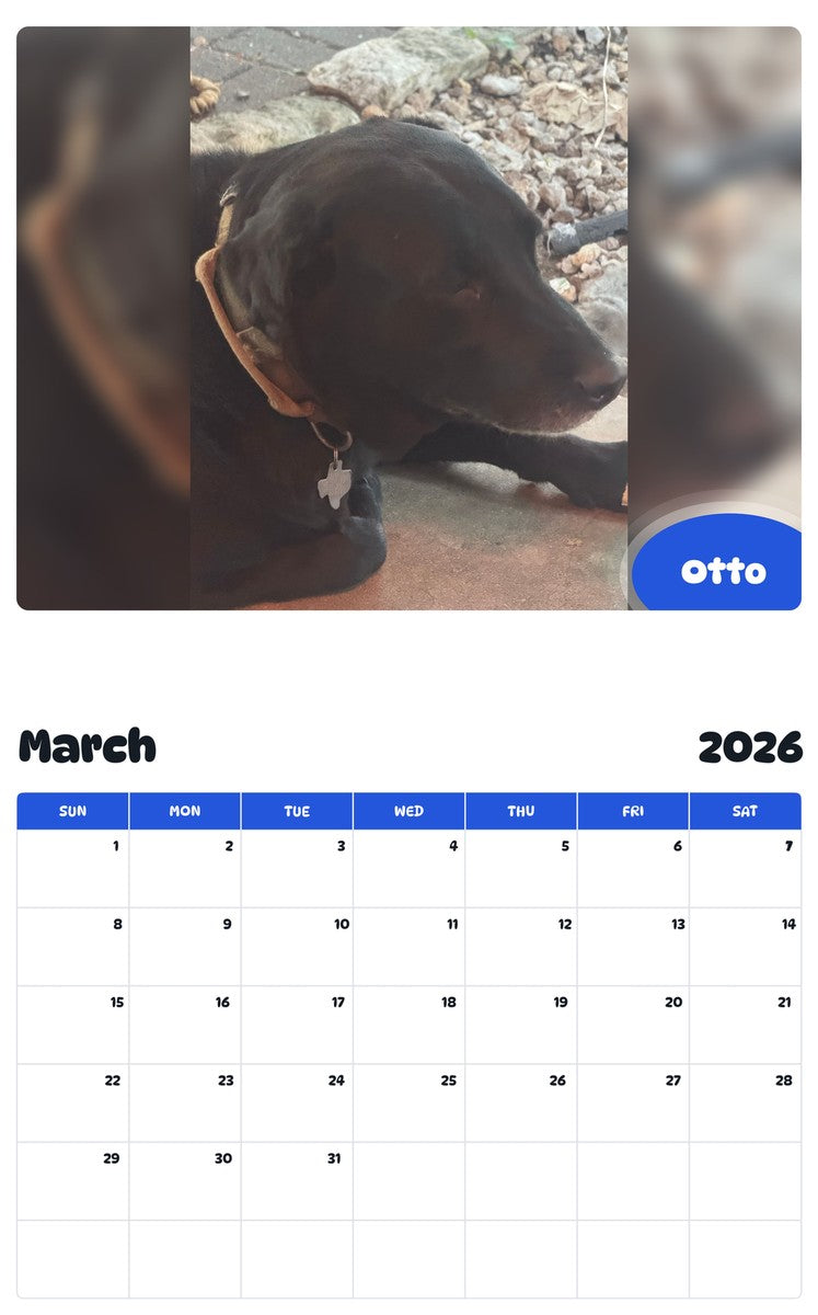 November 2025 - October 2026 Otto - Pawidols Pet Calendar