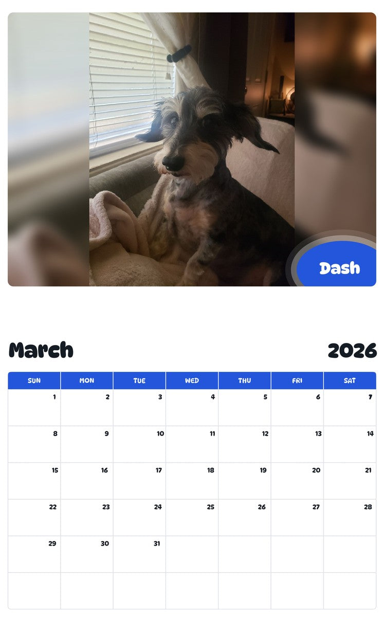 November 2025 - October 2026 Dash - Pawidols Pet Calendar