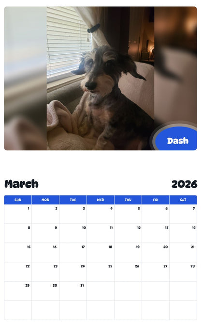 November 2025 - October 2026 Dash - Pawidols Pet Calendar