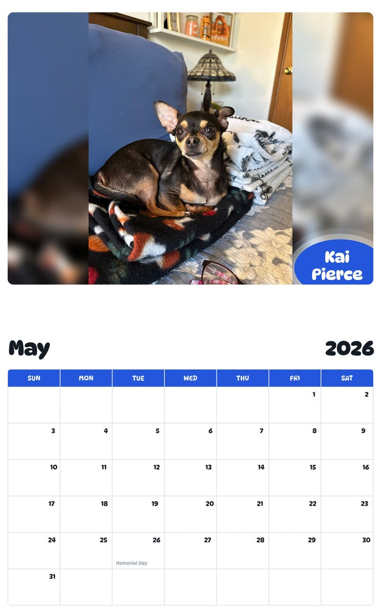 2026 - 2027 Kai Pierce - Pawidols Pet Calendar