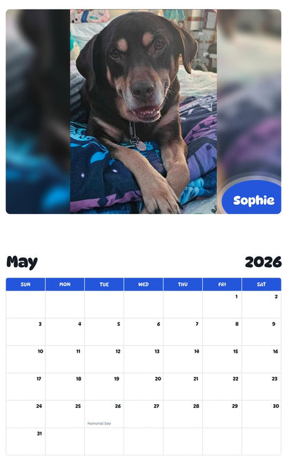 2026 - 2027 Sophie - Pawidols Pet Calendar