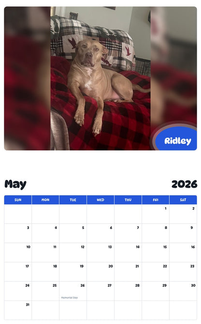 2026 - 2027 Ridley - Pawidols Pet Calendar