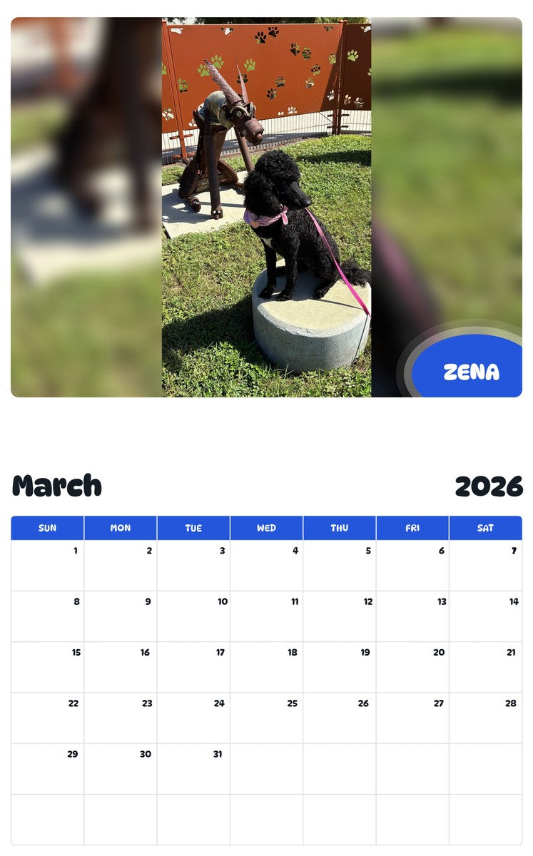 November 2025 - October 2026 ZENA - Pawidols Pet Calendar