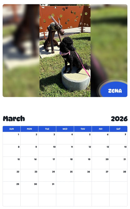 November 2025 - October 2026 ZENA - Pawidols Pet Calendar