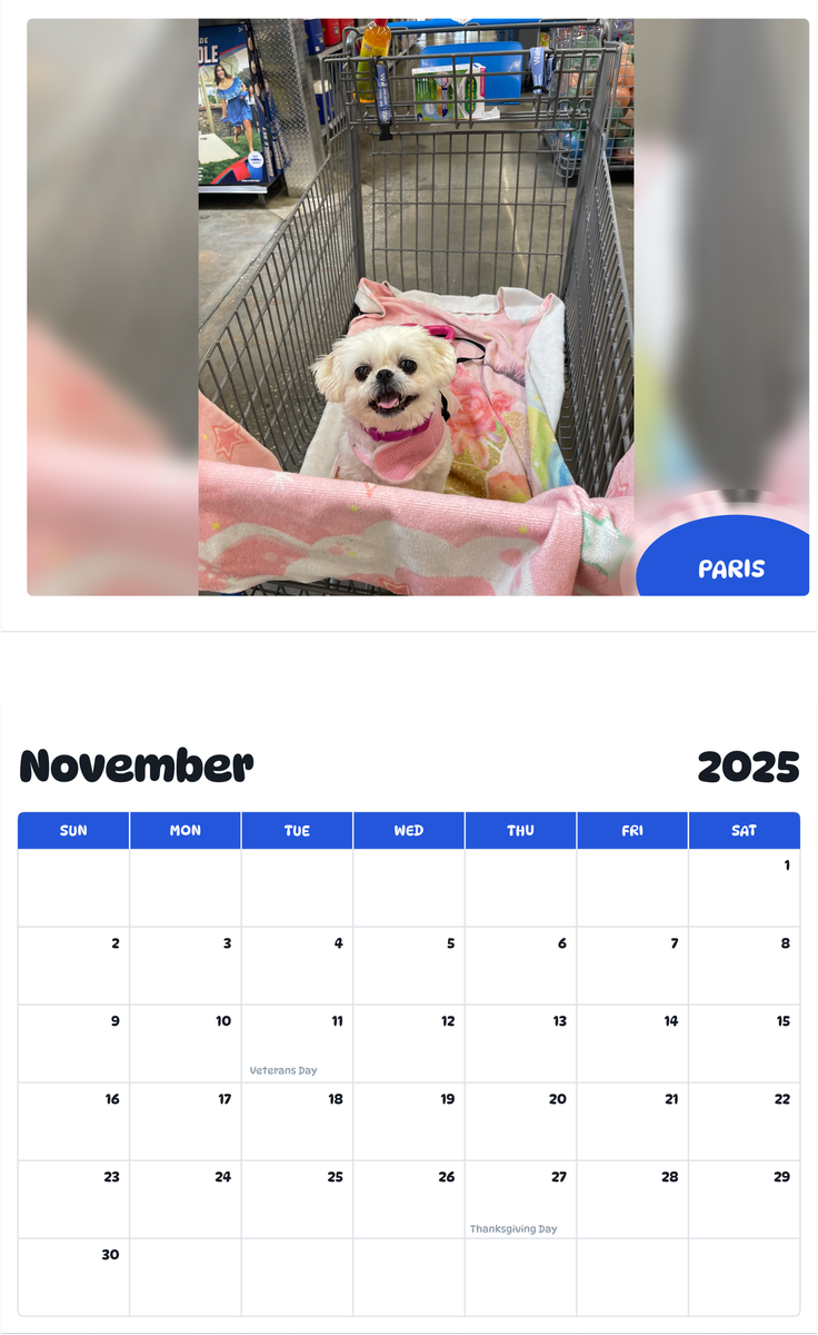 July 2025 - June 2026 Paris - Pawidols Pet Calendar