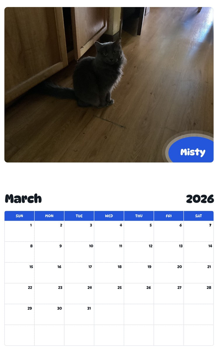 November 2025 - October 2026 Misty - Pawidols Pet Calendar