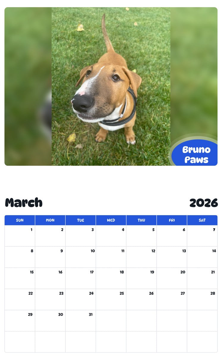 November 2025 - October 2026 Bruno Paws - Pawidols Pet Calendar