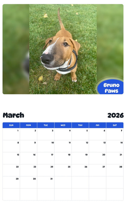November 2025 - October 2026 Bruno Paws - Pawidols Pet Calendar