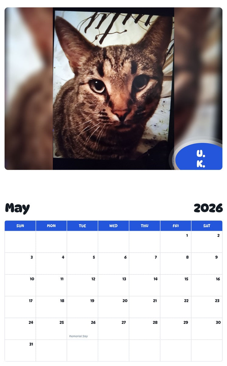 2026 - 2027 U. K. - Pawidols Pet Calendar