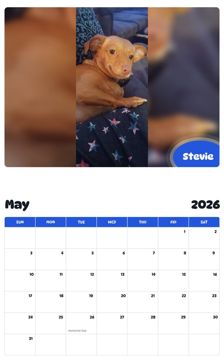 2026 - 2027 Stevie - Pawidols Pet Calendar