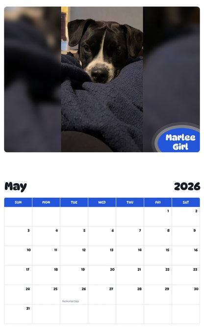 2026 - 2027 Marlee Girl - Pawidols Pet Calendar