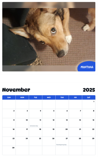 July 2025 - June 2026 Mhithia - Pawidols Pet Calendar
